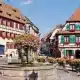 Route des Vins Alsace Septembre | Circuit ClicVTC