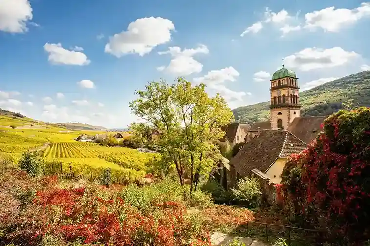 Excursion Kaysersberg avec dégustation de vin