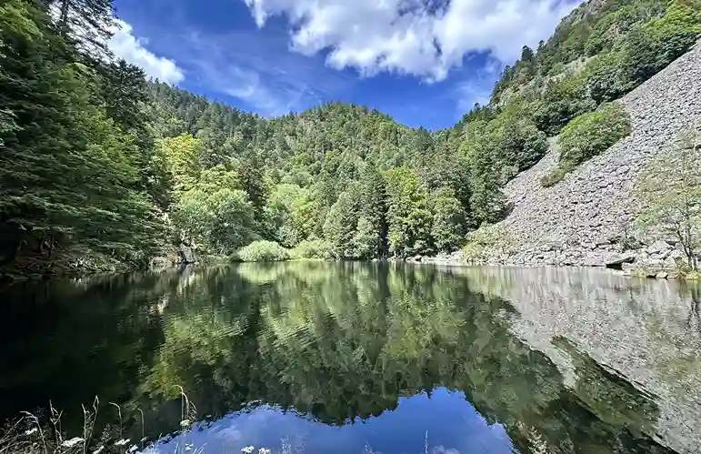 La Bresse — Hohneck