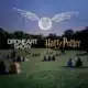 DroneArt Show Harry Potter™ 2026 | Hoerdt ClicVTC